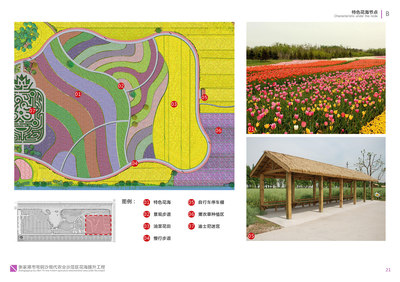园林景观设计TOP9(张家港市常阴沙现代农业示范区常阴沙花海提升工程 .