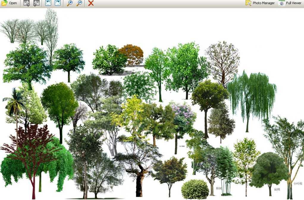 PS后期效果图乔木素材 (分层)免费下载 - 园林景观素材 - 土木工程网